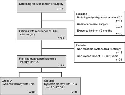 Effectiveness of TKI Inhibitors Combined With PD-1 in Patients With Postoperative Early Recurrence of HCC: A Real-World Study